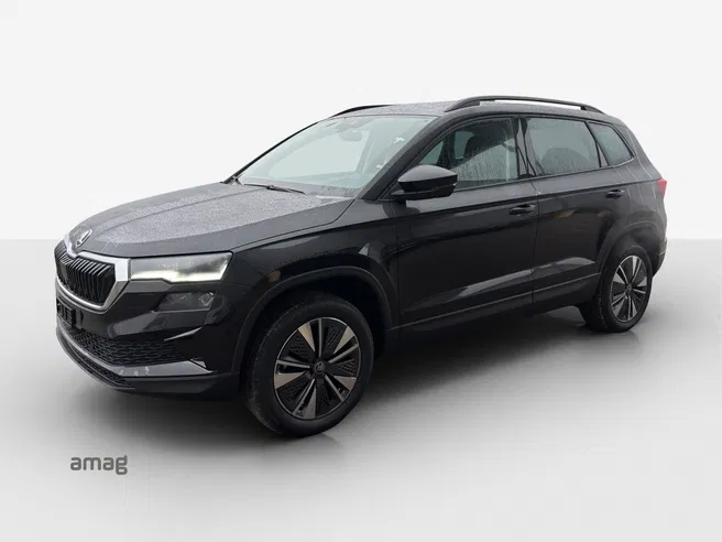 Škoda Karoq Dynamic (Netto)