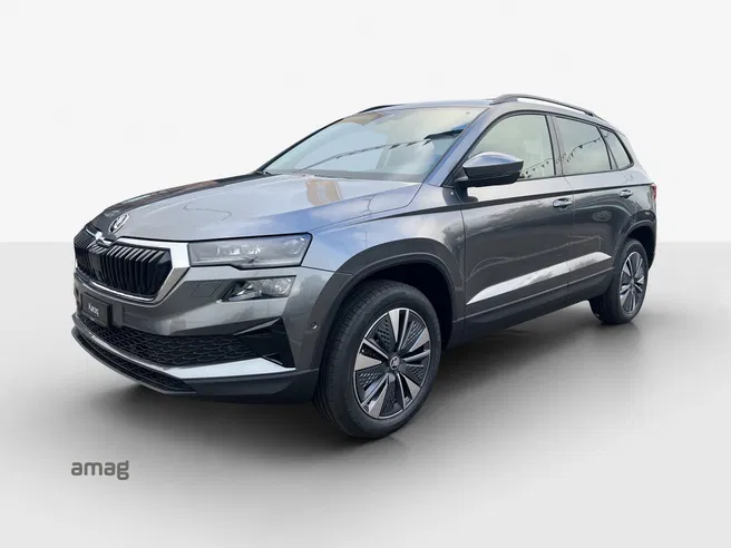 Škoda Karoq Dynamic (Netto)