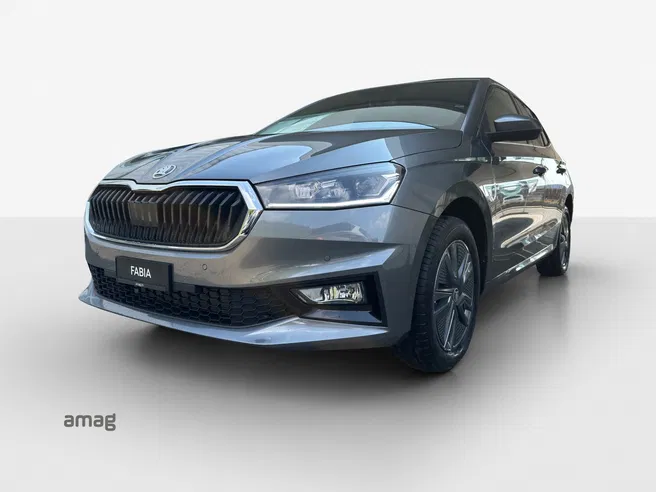 Škoda Fabia Dynamic (Netto)