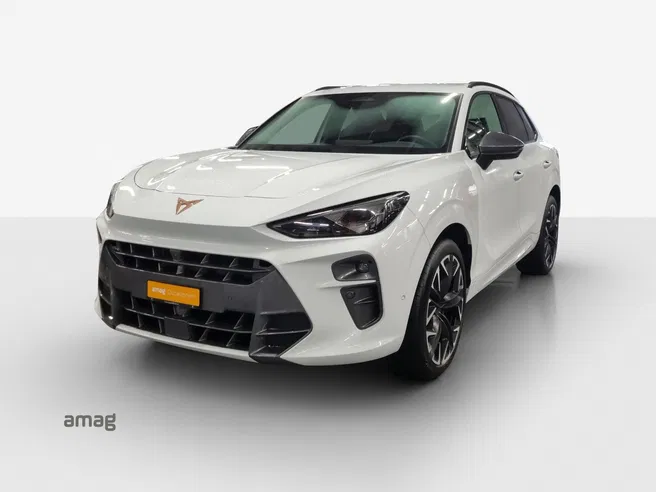 Cupra CUPRA TERRAMAR 4DRIVE