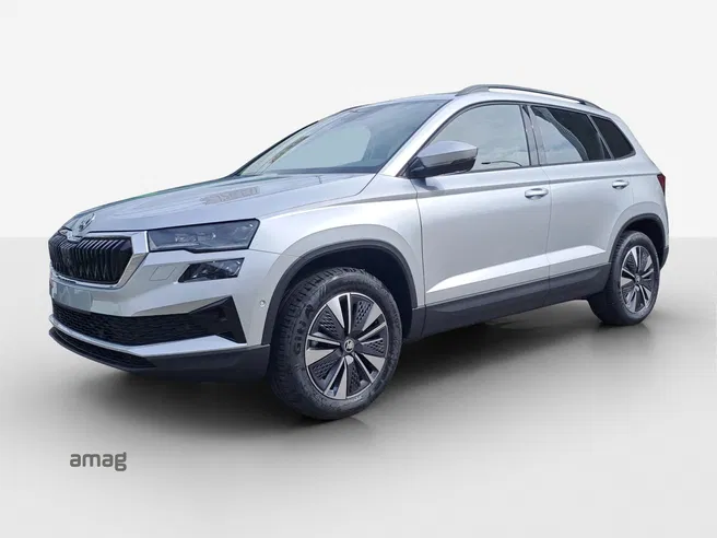 Škoda Karoq Dynamic (Netto)