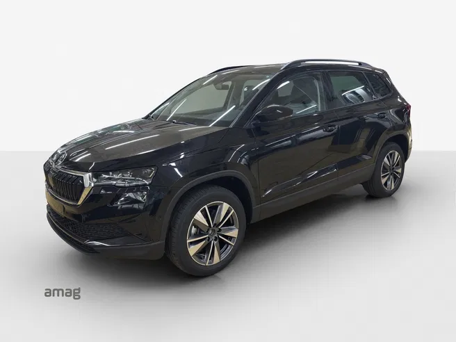 Škoda Karoq Dynamic (Netto)