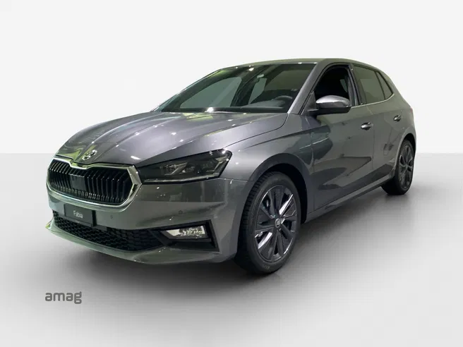 Škoda Fabia Dynamic (Netto)