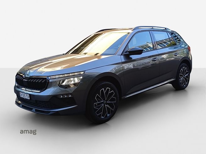 Škoda Kamiq Dynamic (Netto)