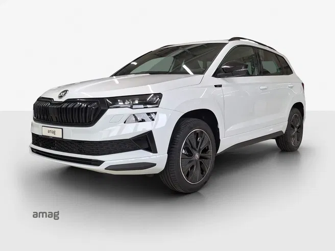 Škoda Karoq «Dynamic» Limited Edition (Netto)