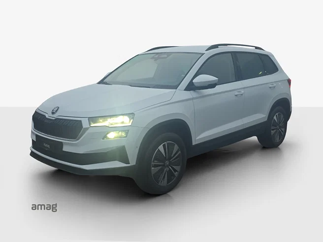Škoda Karoq Dynamic (Netto)