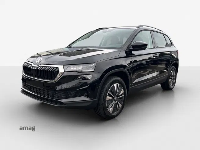 Škoda Karoq Dynamic (Netto)