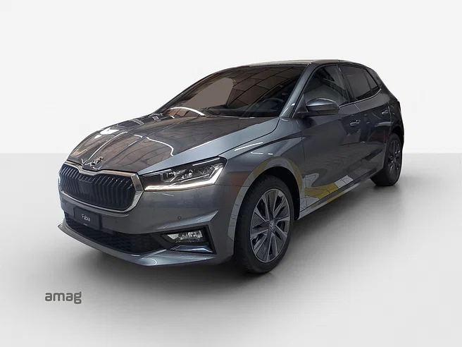 Škoda Fabia Dynamic (Netto)