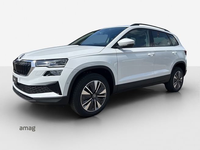 Škoda Karoq Dynamic (Netto)