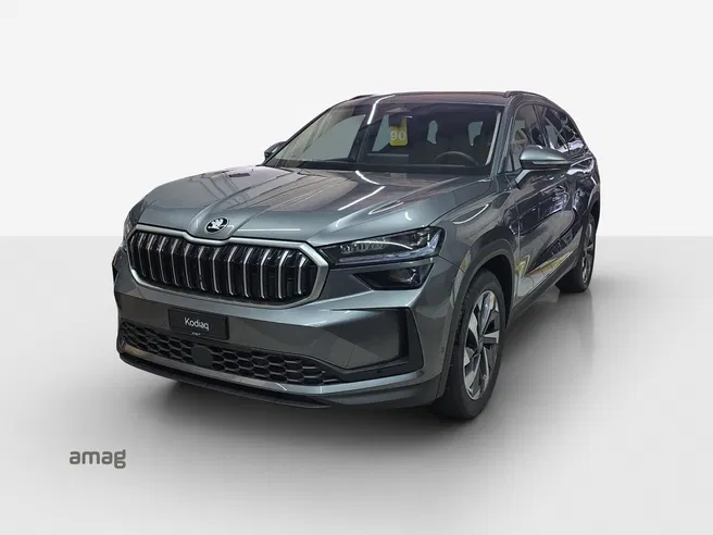 Škoda Kodiaq Dynamic (Netto)