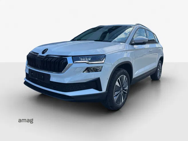 Škoda Karoq Dynamic (Netto)