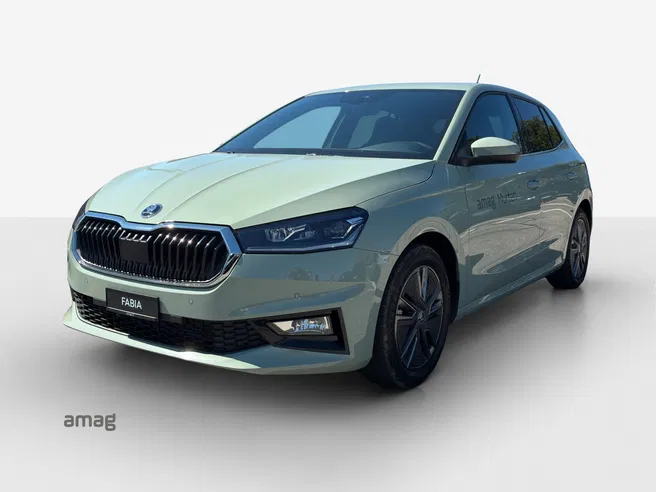 Škoda Fabia Dynamic (Netto)