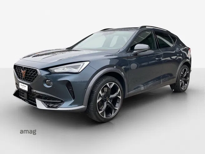 Cupra Formentor VZ 2.0TSI 310PS 7D 4