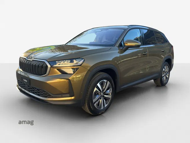 Škoda Kodiaq Dynamic (Netto)