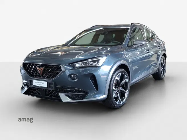 Cupra CUPRA FORMENTOR Allalin 1.4 e-HYBRID 204PS 6D (netto)
