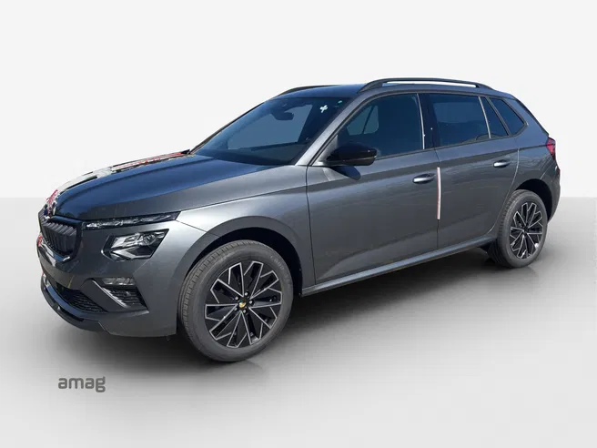 Škoda Kamiq Dynamic (Netto)