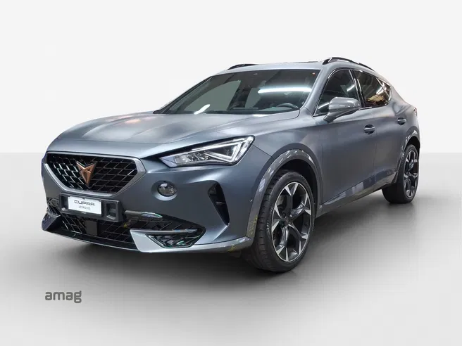 Cupra Formentor VZ 2.0TSI 310PS 7D 4