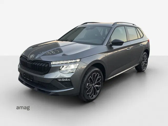 Škoda Kamiq Dynamic (Netto)
