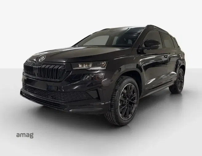 Škoda Karoq «Dynamic» Limited Edition (Netto)