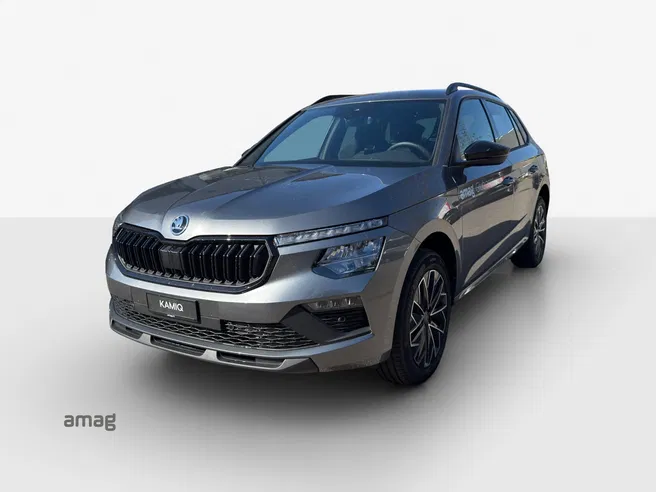 Škoda Kamiq Dynamic (Netto)