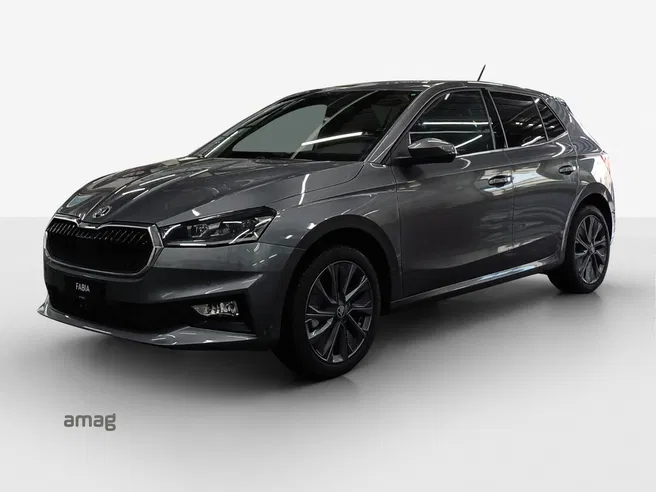Škoda Fabia Dynamic (Netto)