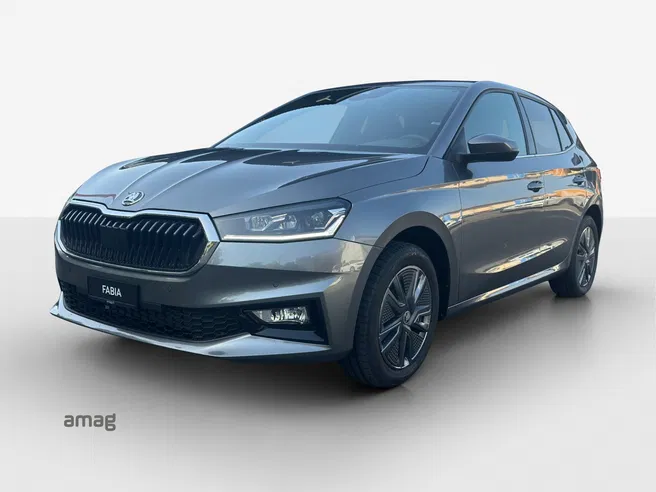 Škoda Fabia Dynamic (Netto)