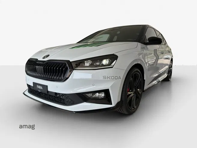 Škoda Fabia Motorsport Edition (Netto)