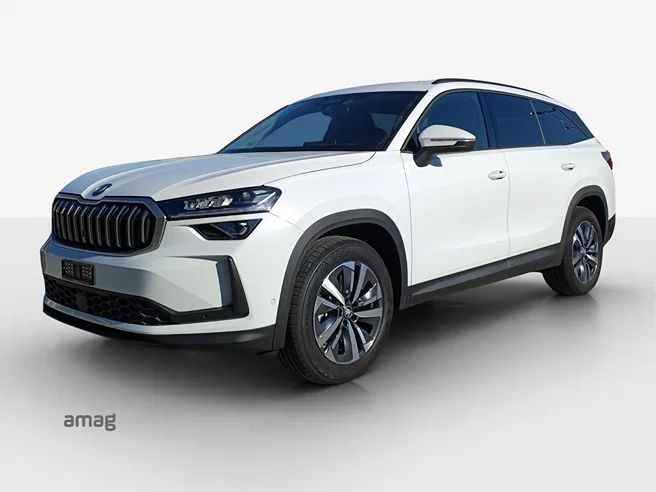 Škoda Kodiaq Dynamic (Netto)