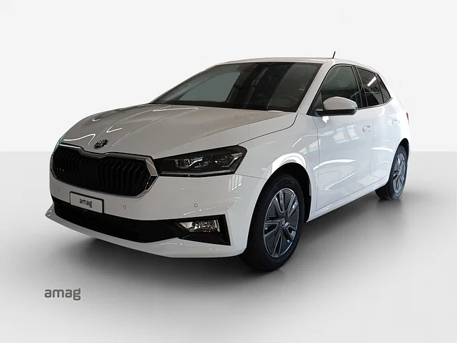 Škoda Fabia Dynamic (Netto)