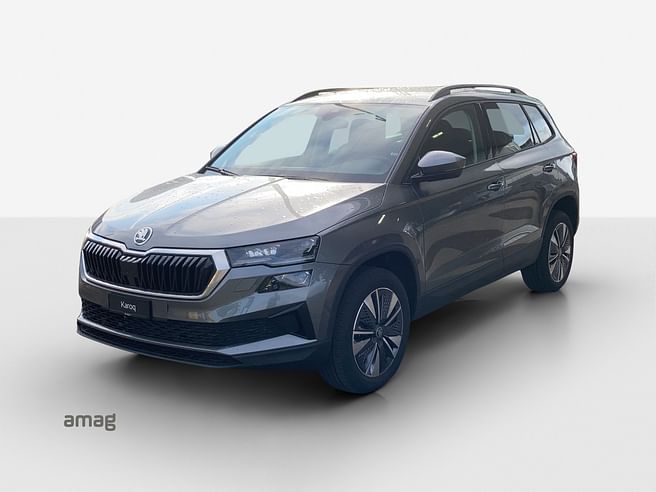 Škoda Karoq Dynamic (Netto)