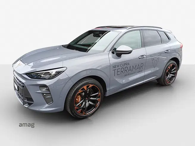 Cupra TERRAMAR 4DRIVE