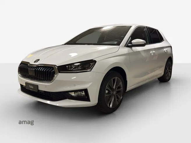 Škoda Fabia Dynamic (Netto)
