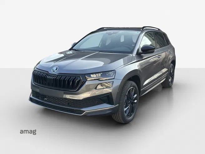 Škoda Karoq «Dynamic» Limited Edition (Netto)