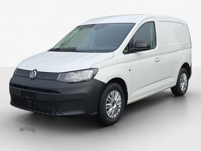 VW Véhicules Utilitaires Caddy Cargo En 2.0TDI 102PS 6G