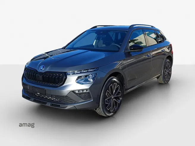 Škoda Kamiq Dynamic (Netto)