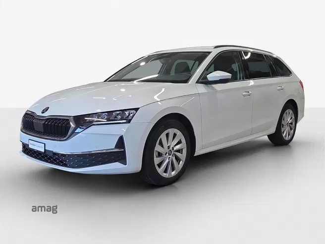 Škoda Oct. SE 2.0 TDI 150PS 7DSG