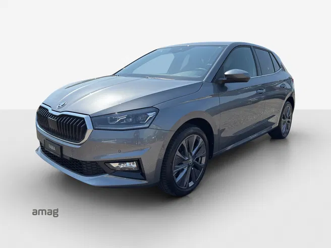Škoda Fabia Dynamic (Netto)