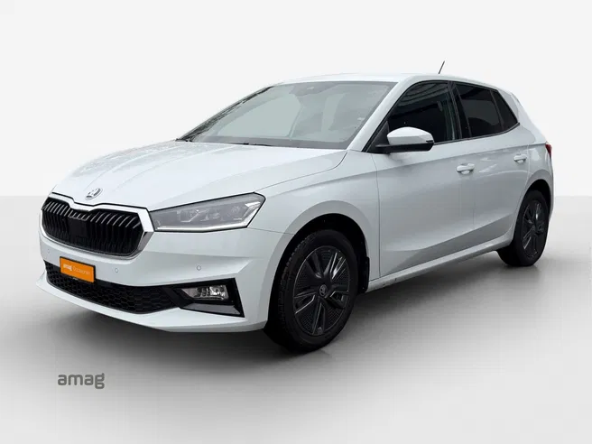Škoda Fabia Dynamic (Netto)