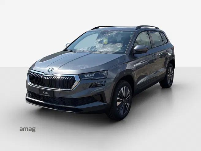 Škoda Karoq Dynamic (Netto)