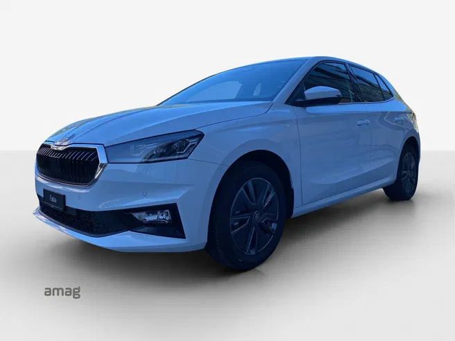 Škoda Fabia Dynamic (Netto)