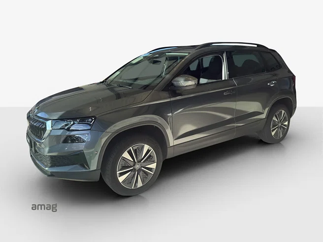 Škoda Karoq Dynamic (Netto)