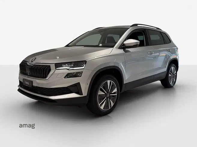 Škoda Karoq Dynamic (Netto)