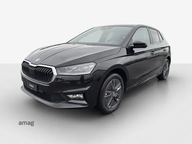 Škoda Fabia Dynamic (Netto)