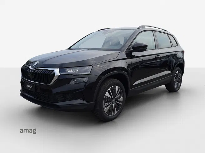 Škoda Karoq Dynamic (Netto)