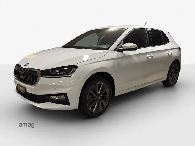 Škoda Fabia Dynamic (Netto)