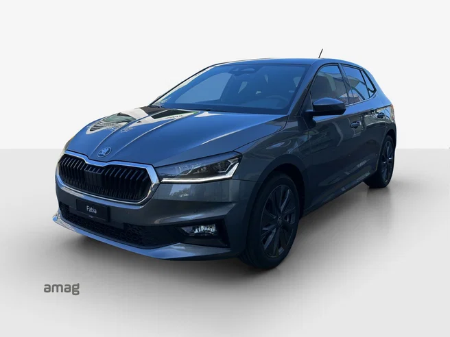 Škoda Fabia Dynamic (Netto)