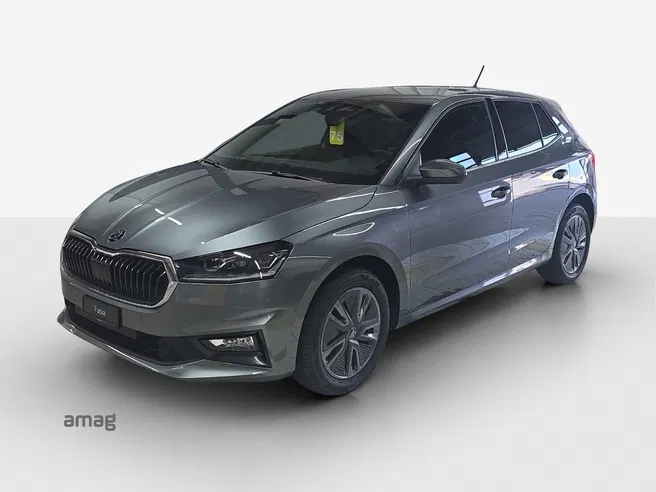 Škoda Fabia Dynamic (Netto)