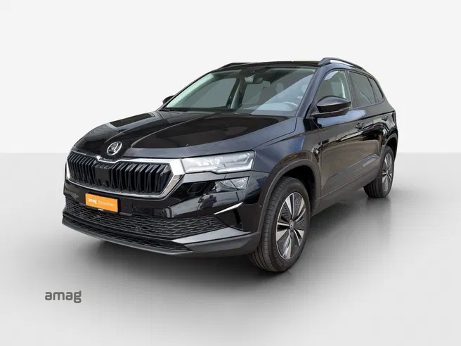 Škoda Karoq Dynamic (Netto)