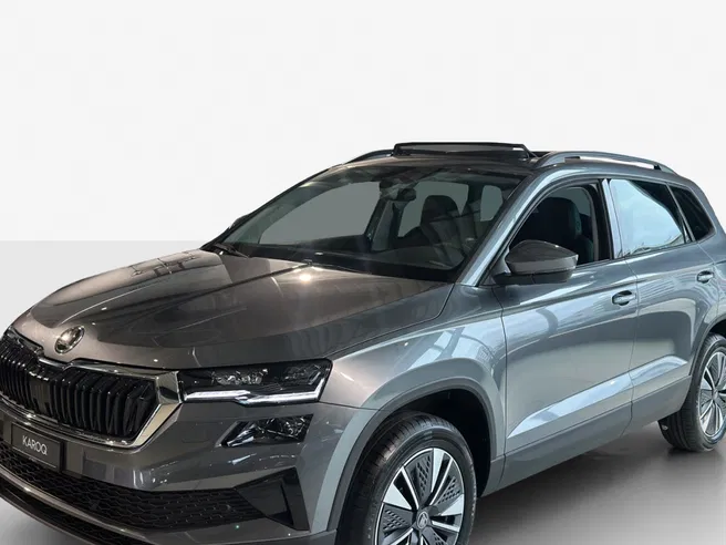 Škoda Karoq Dynamic (Netto)