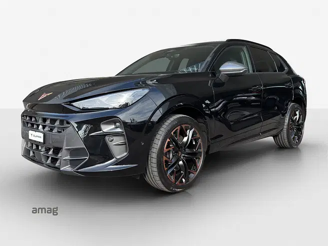 Cupra TERRAMAR 4DRIVE
